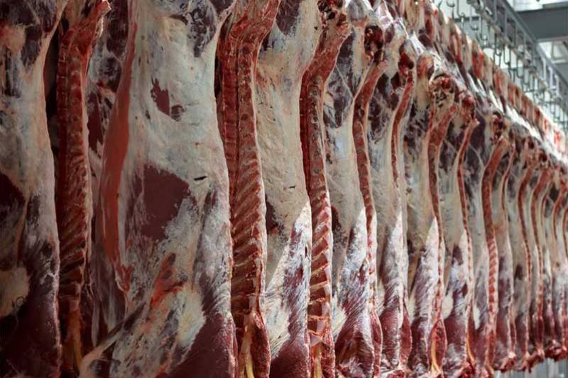 گران شدن گوشت حقیقت دارد؟